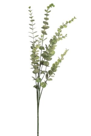 Vara Eucalipto 75cm