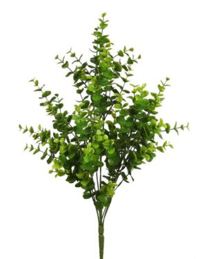 Ramo Eucalipto 50cm Verde
