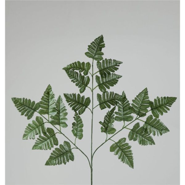 Helecho 70 cm
