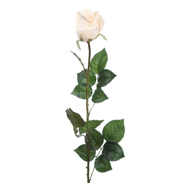 Vara Capullo Rosa 72cm Crema