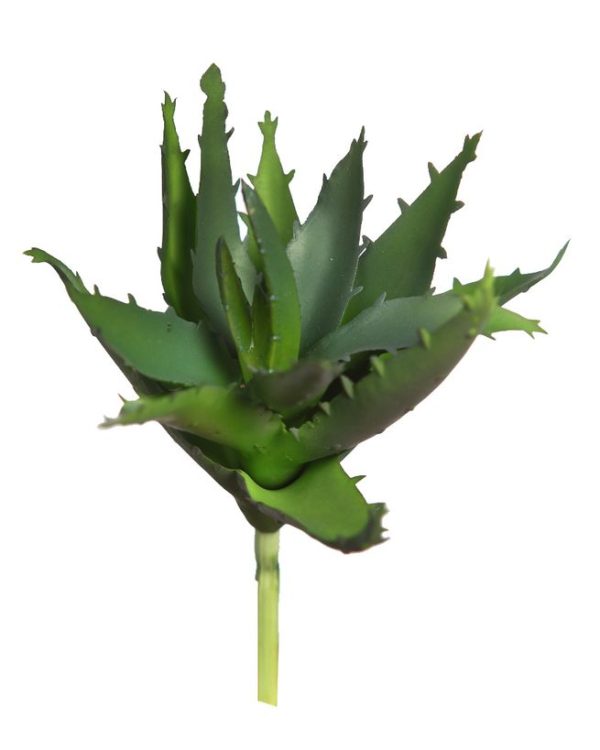 Vara Agave Mini 13cm Verde