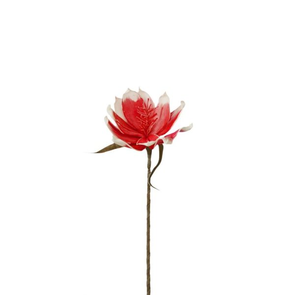 Magnolia Foam 70cm Rosa