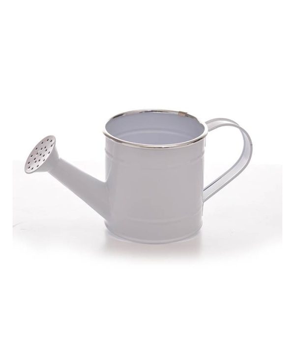 Regadera Blanco Filo Plata
