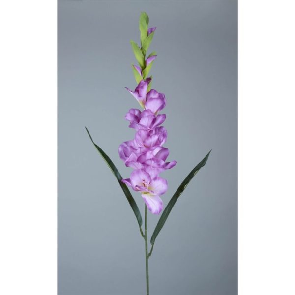 Gladiolo 80cm Lila