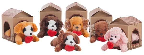 Perrito Casa Cartón
