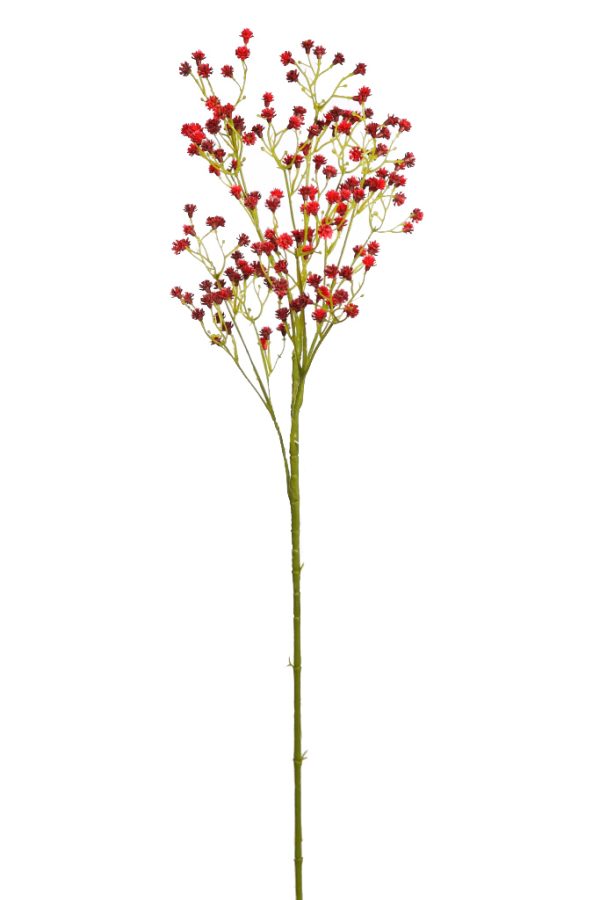 Vara Pani 68cm Rojo