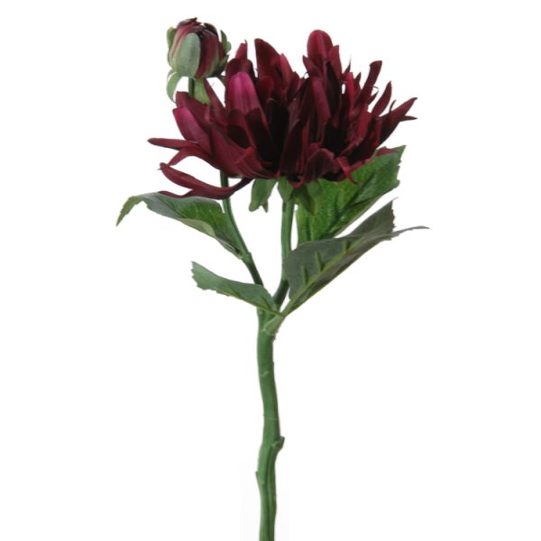 Dalia Burdeos 34cm