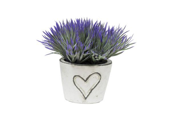 Maceta Corazón c/planta Lila