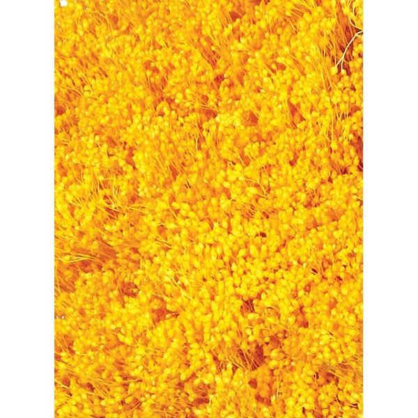 Pomo Broom 100gr 50cm Amarillo (color 04)