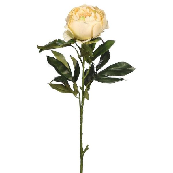 Vara Peonia 80cm Crema