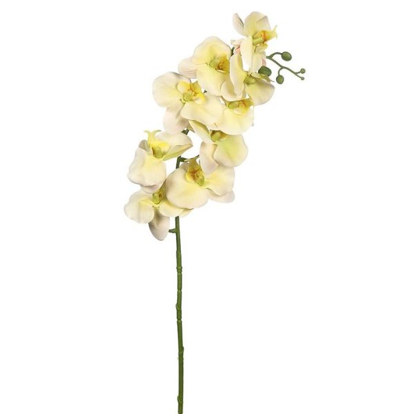 Vara Orquidea 95cm Crema