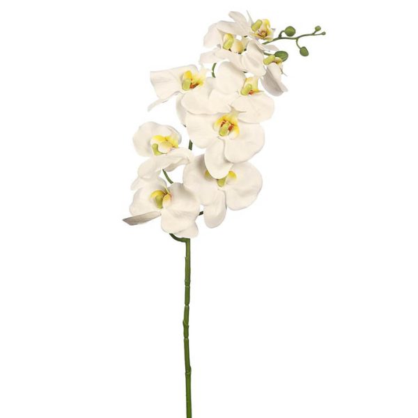 Vara orquídea 95cm Blanco
