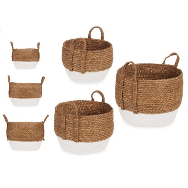 Cesta Alga  Set 3 - 29x35 Fondo Blanco
