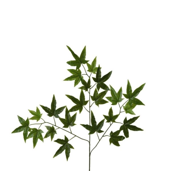 Hoja Maria 68cm