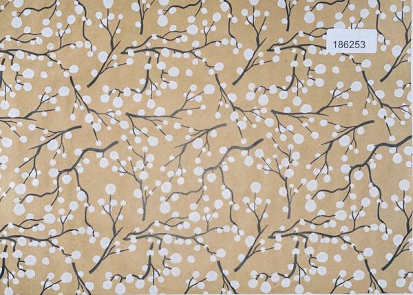 Bobina Kraft Rame Blanco 62x100