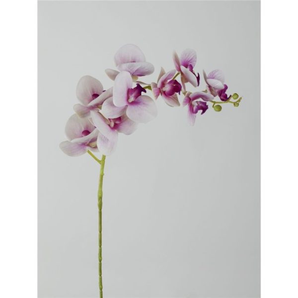 Vara Orquídea 107cm Lila