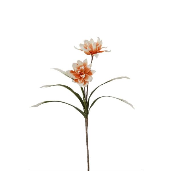 Dalia Foam 94cm Te