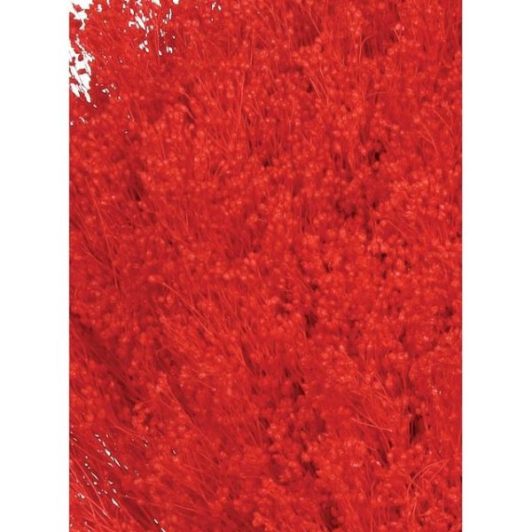 Pomo Broom 100gr 50cm Rojo (Color 03)