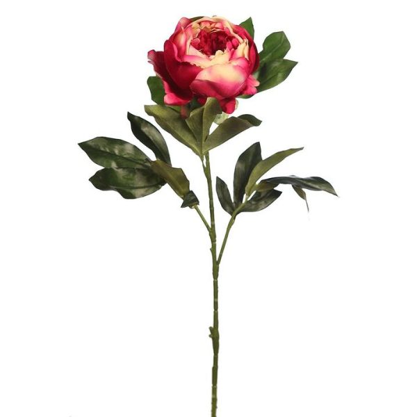 Vara Peonia 80cm Morado