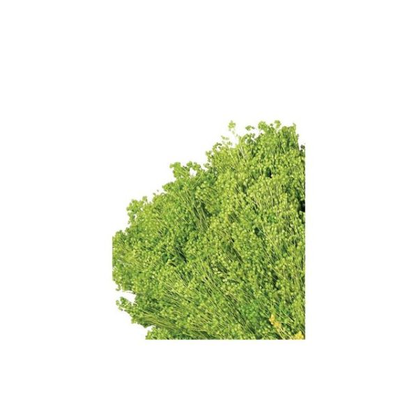 Pomo Broom 100gr 50cm Verde Claro (color 28)