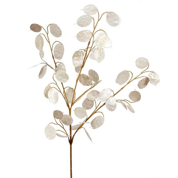 Vara Hoja Dolar 76cm