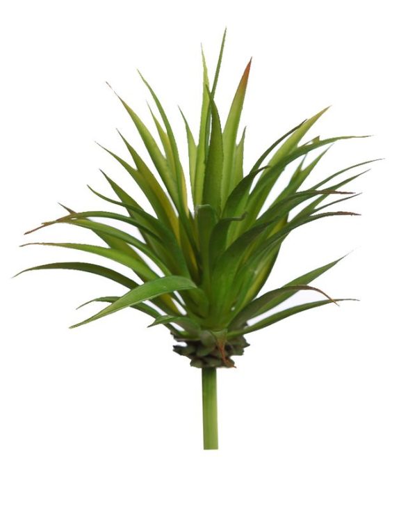 Vara Yucca 17cm Verde