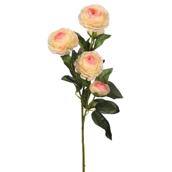 Vara Ranúnculo x5 73cm Rosa