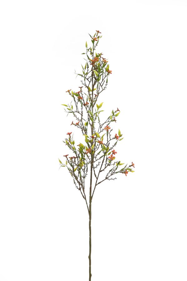 Vara Hoja Bean 76 cm Rojo