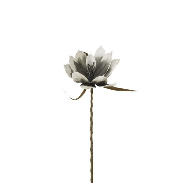 Magnolia Foam 70cm Gris