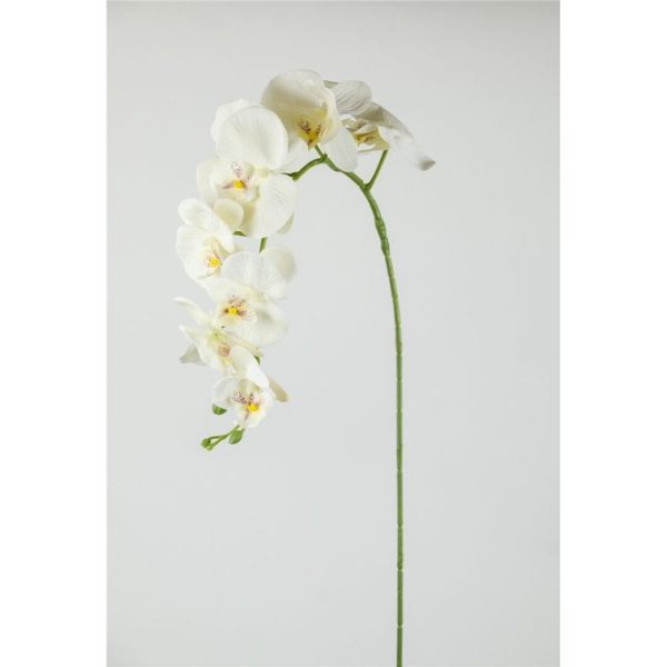 Vara Orquídea 105cm Crema