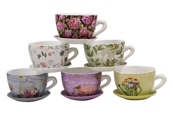 Macetero Taza Set 6 Surtido
