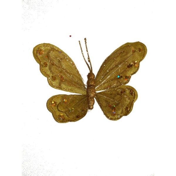 Mariposa Oro
