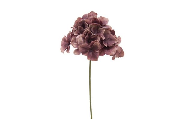 Pick Hortensia Malva