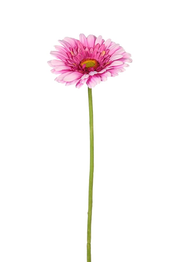 Vara Gerbera 64cm Morado