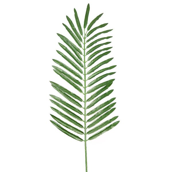 Hoja Robellini 58cm