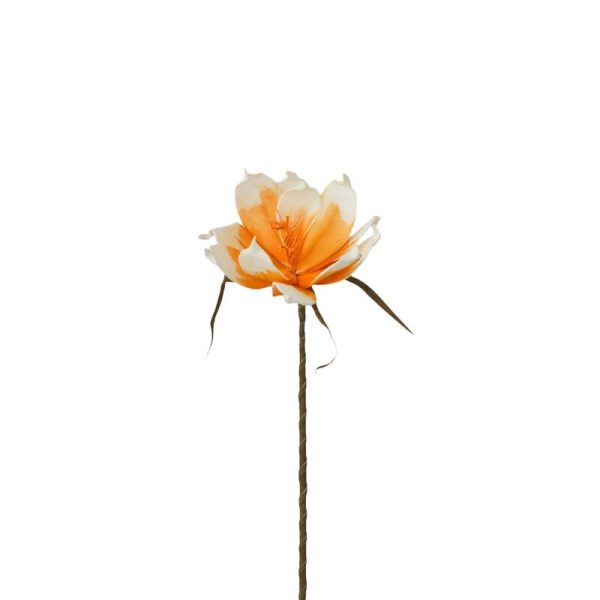 Magnolia Foam 70cm Te