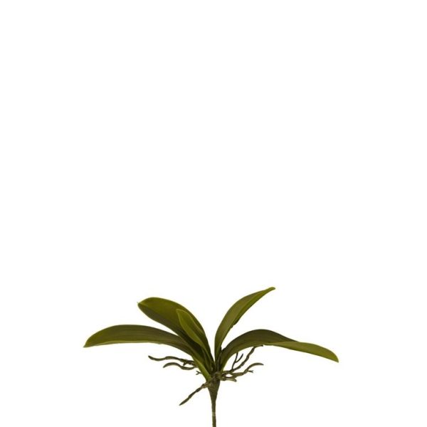 Hoja Orquídea Mediana