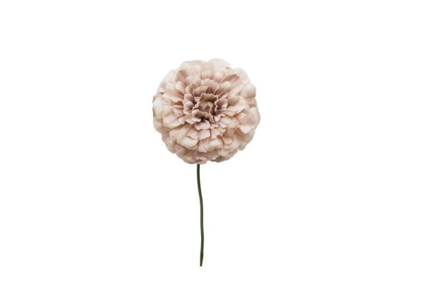 Pick Zinnia Rosa