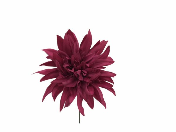 Pick Dahlia Fucsia