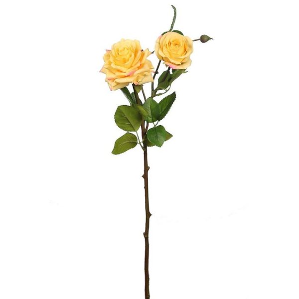 Vara Rosa x2 70cm Amarillo