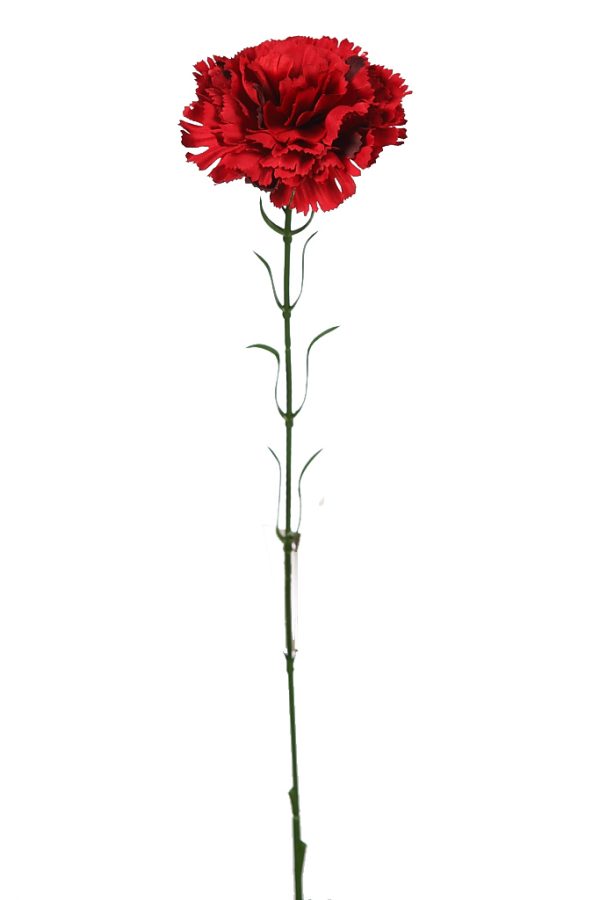 Vara Clavel 55cm Rojo