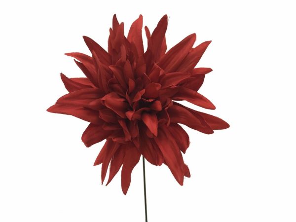 Pick Dahlia Rojo