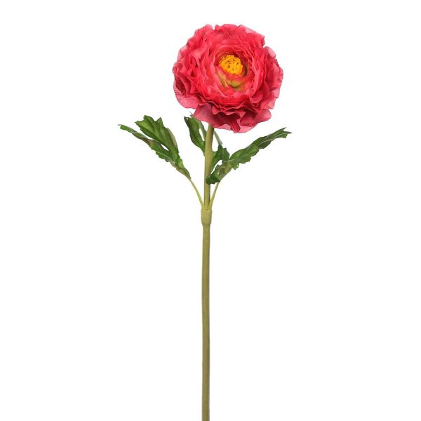 Vara Ranunculo 56cm Fucsia
