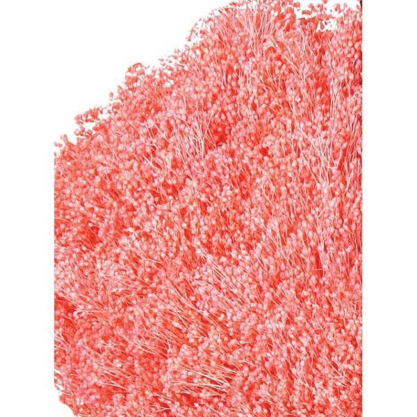 Pomo Broom 100gr 50cm Rosa (color 06)