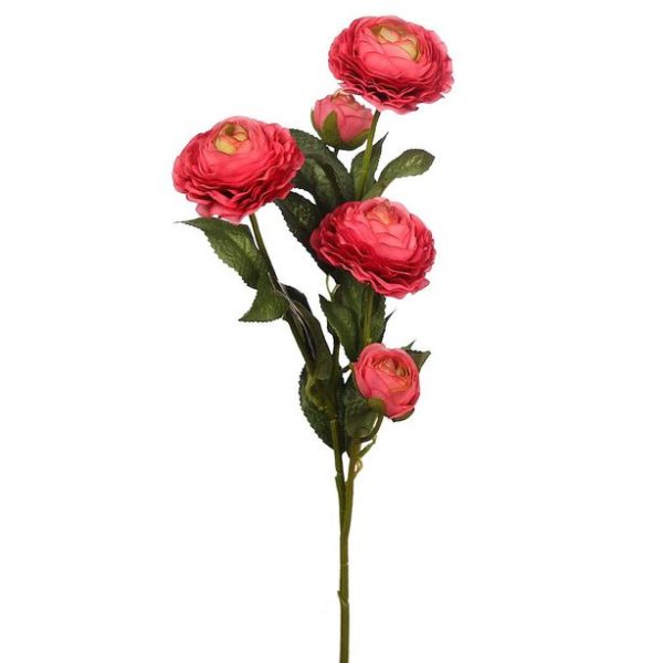Vara Ranúnculo x5 73cm Fucsia