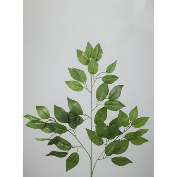 Hoja Ficus Verde 60cm