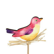 Pin Pajarito 7x50 Colores Variados