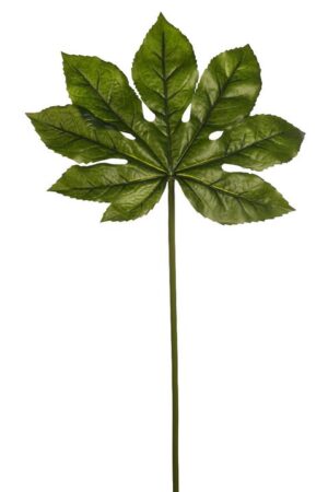 Hoja Aralia 67cm
