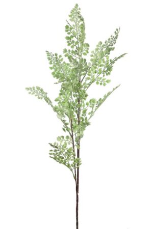 Vara Dichondra 94cm Verde Claro