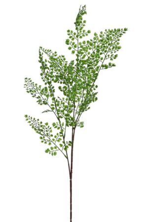 Vara Dichondra 94cm Verde Oscuro